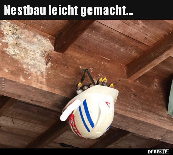 Nestbau leicht gemacht...