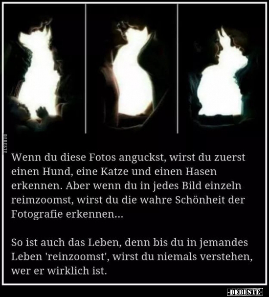 Wenn du diese Fotos anguckst, wirst du zuerst einen..