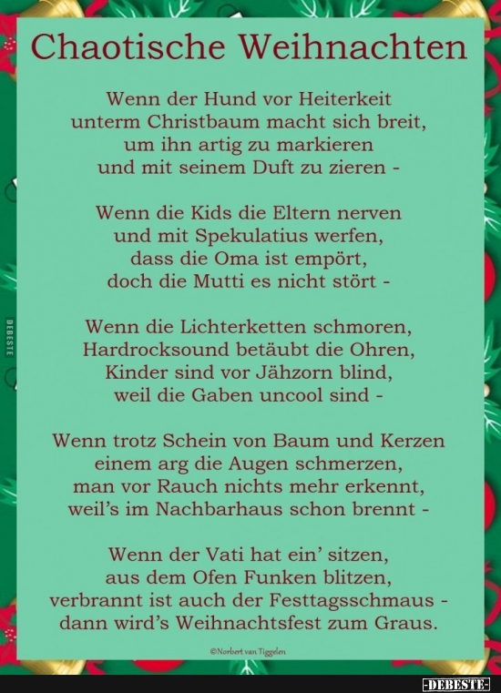 Chaotische Weihnachten.. - Lustige Bilder | DEBESTE.de