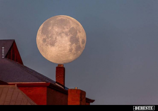  - Lustige Bilder | DEBESTE.de