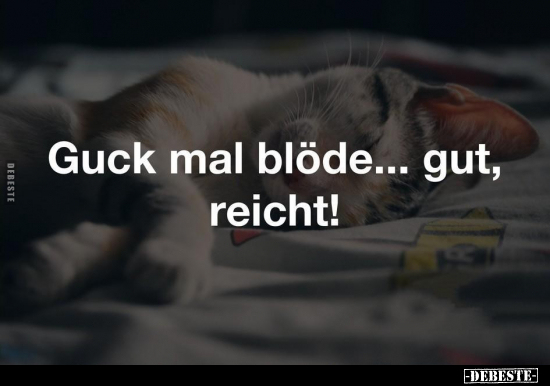 Guck mal blöde... gut, reicht!