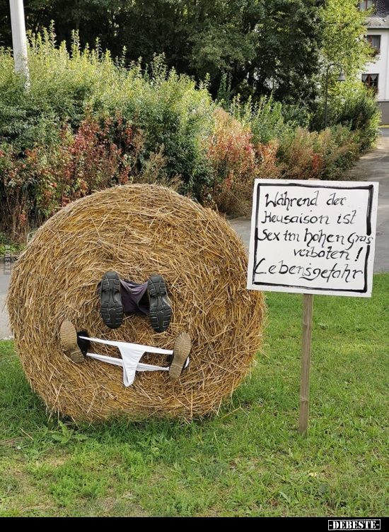 Während der Heusaison ist Sex im hohen Gras verboten! - Lustige Bilder | DEBESTE.de
