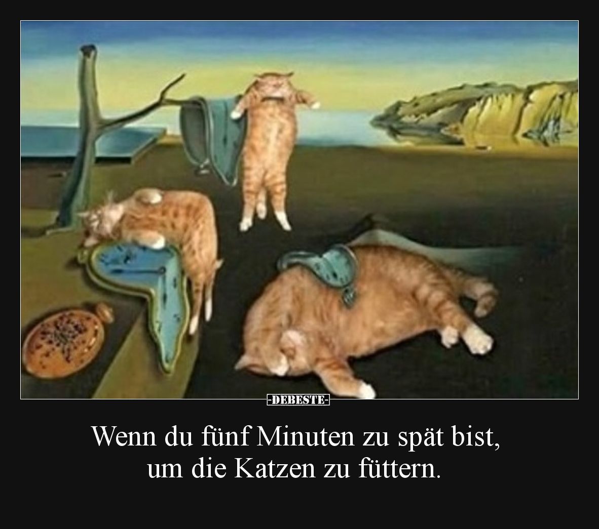 Wenn du fünf Minuten zu spät bist, um die Katzen zu füttern.