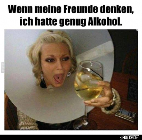 Wenn meine Freunde denken, ich hatte genug Alkohol... - Lustige Bilder | DEBESTE.de