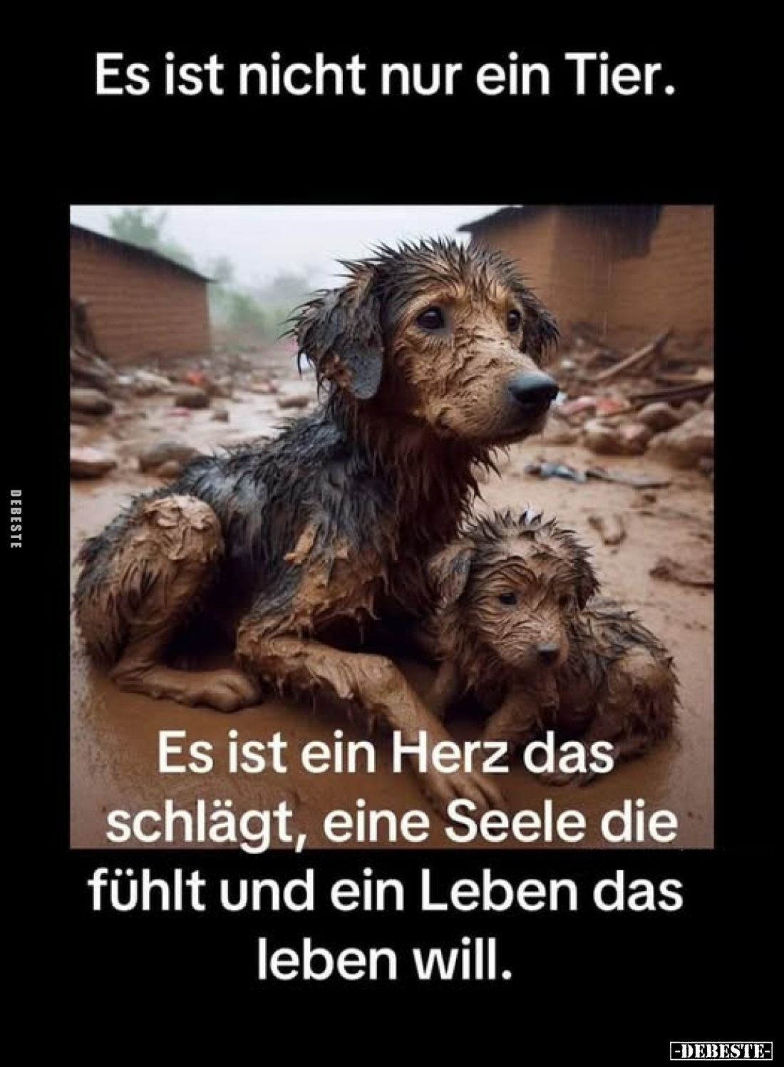 Es ist nicht nur ein Tier.
Es ist ein Herz das schlägt, eine Seele die fühlt und ein Leben das leben will.