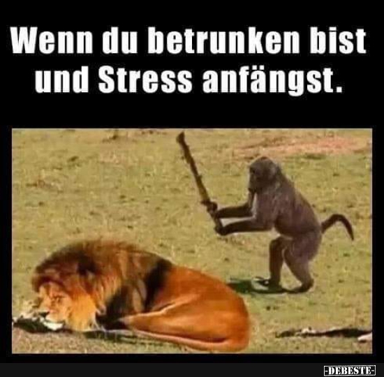 Wenn du betrunken bist und Stress anfängst. - Lustige Bilder | DEBESTE.de