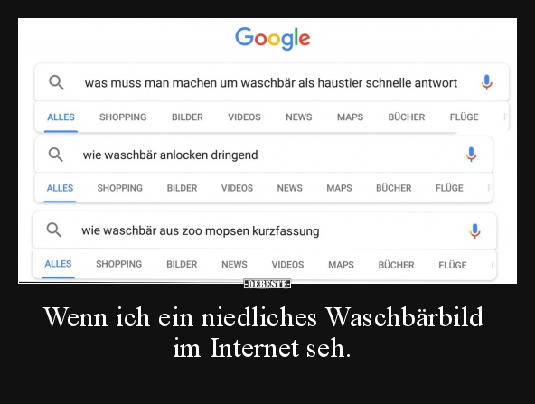 Wenn ich ein niedliches Waschbärbild im Internet seh... - Lustige Bilder | DEBESTE.de