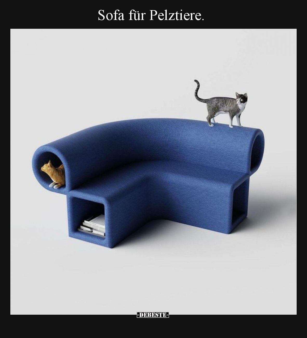 Sofa für Pelztiere.