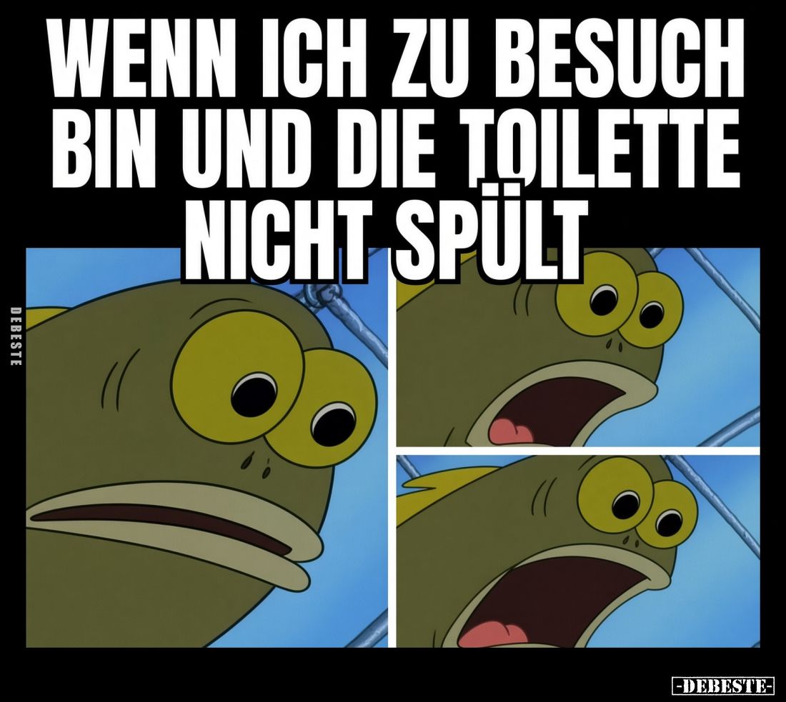 Wenn ich zu Besuch bin und die Toilette nicht spült