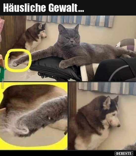 Häusliche Gewalt...