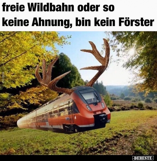 Freie Wildbahn oder so keine Ahnung, bin kein Förster.. - Lustige Bilder | DEBESTE.de