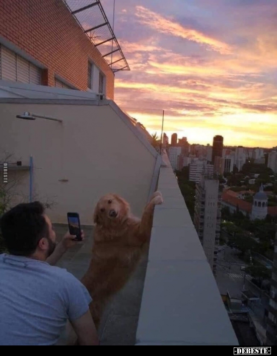  - Lustige Bilder | DEBESTE.de