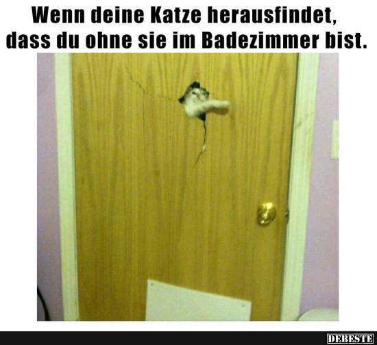 Wenn deine Katze herausfindet, dass du ohne sie im Badezimmer.. - Lustige Bilder | DEBESTE.de