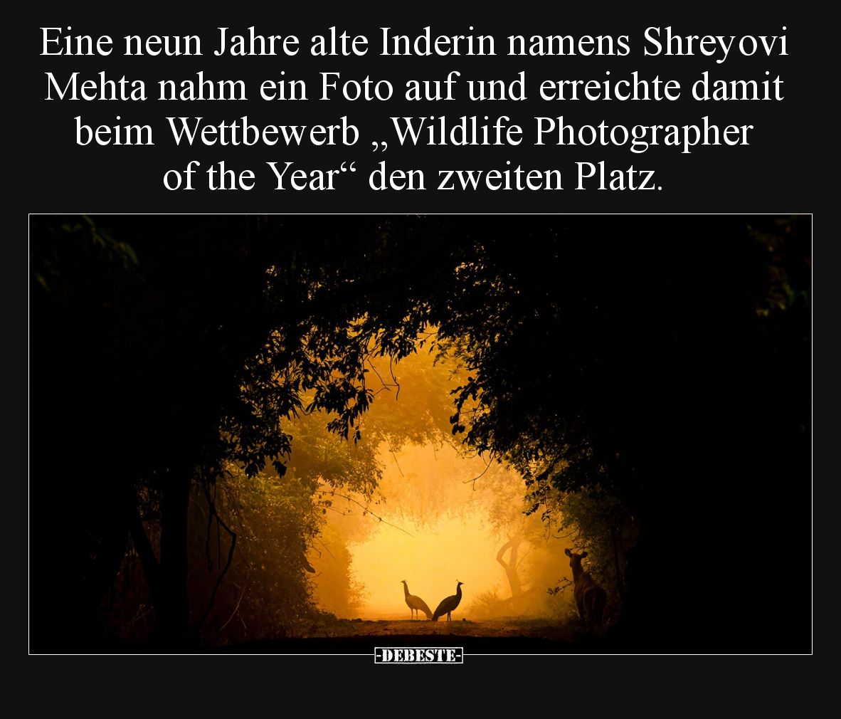 Eine neun Jahre alte Inderin namens Shreyovi Mehta nahm ein Foto auf und erreichte damit beim Wettbewerb „Wildlife Photograph...
