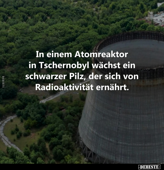 In einem Atomreaktor in Tschernobyl.. - Lustige Bilder | DEBESTE.de