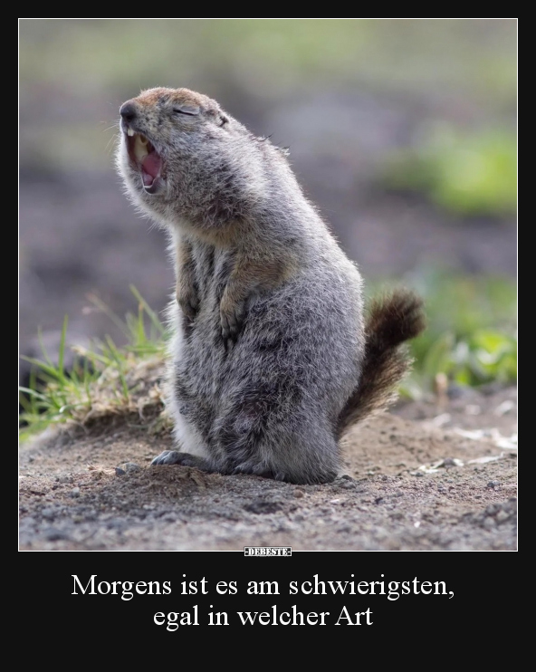 Morgens ist es am schwierigsten, egal in welcher Art.. - Lustige Bilder | DEBESTE.de