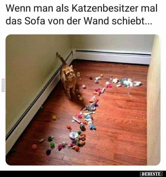 Wenn man als Katzenbesitzer mal das Sofa von der Wand..