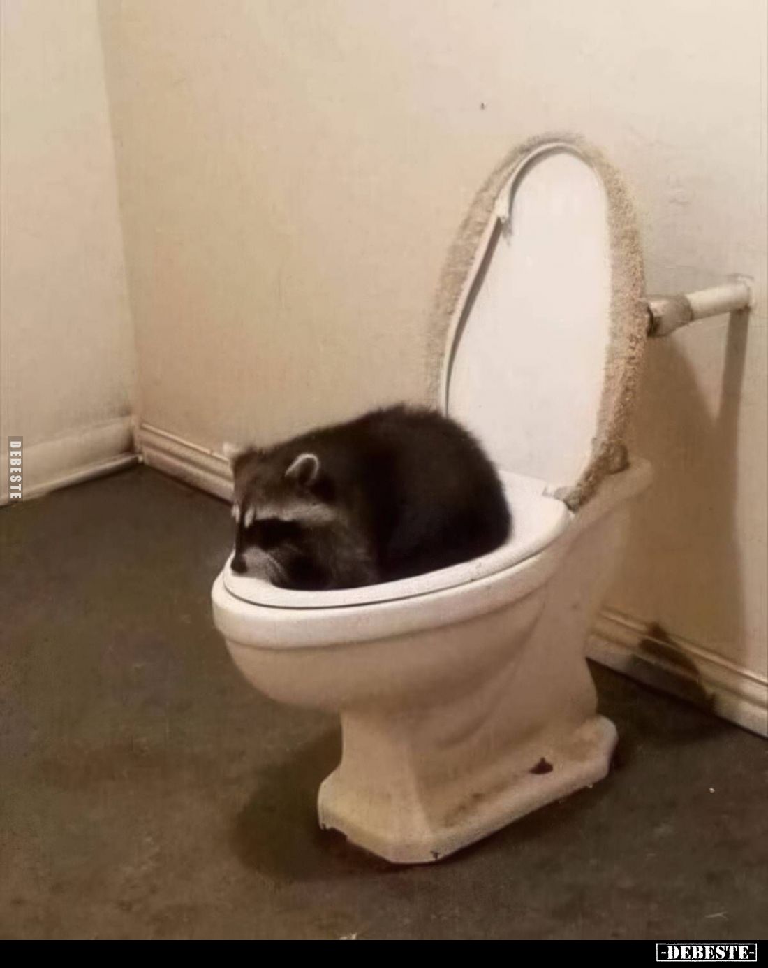  - Lustige Bilder | DEBESTE.de