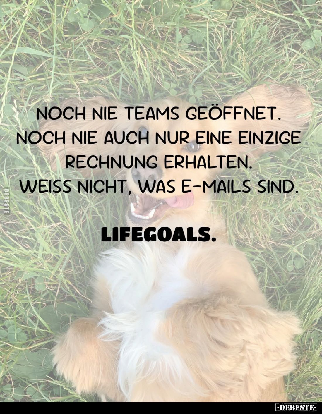 Noch nie Teams geöffnet.
Noch nie auch nur eine einzige Rechnung erhalten.
Weiss nicht, was E-Mails sind.
Lifegoals.
