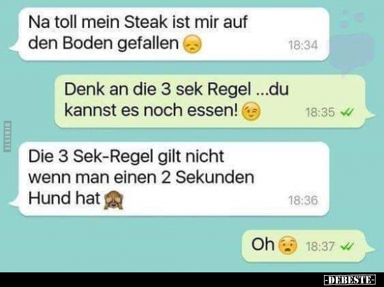 Na toll mein Steak ist mir auf den Boden gefallen.. - Lustige Bilder | DEBESTE.de