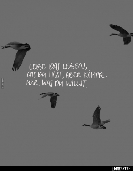 Lebe das Leben, das du hast, aber kämpfe für was du willst.