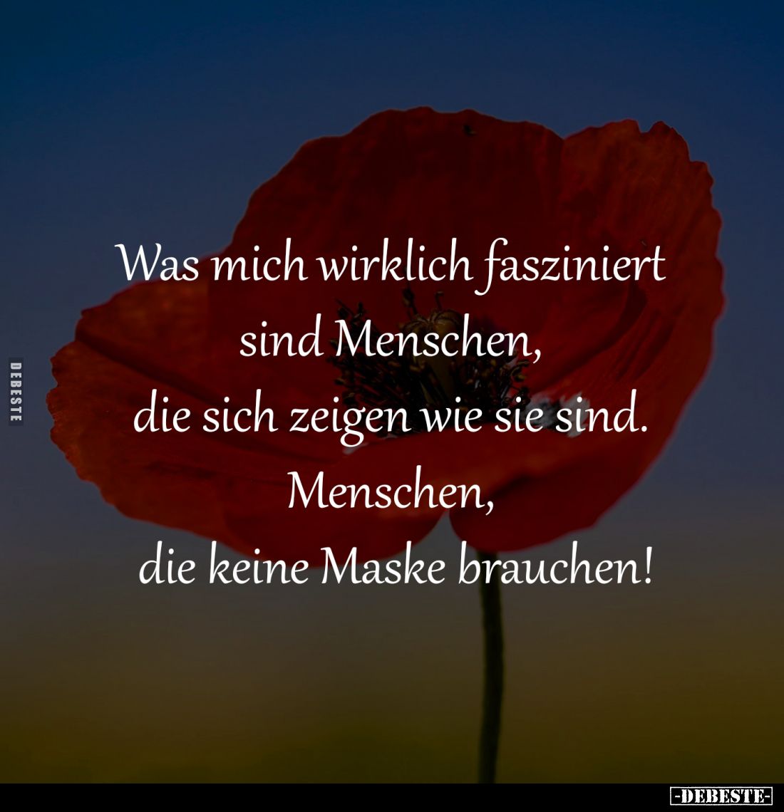Was mich wirklich fasziniert sind Menschen.. - Lustige Bilder | DEBESTE.de