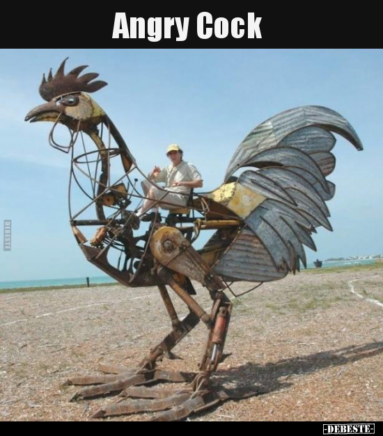 Angry Cock..