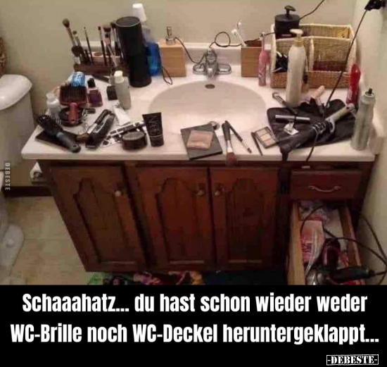 Schaaahatz... du hast schon wieder weder WC-Brille noch.. - Lustige Bilder | DEBESTE.de