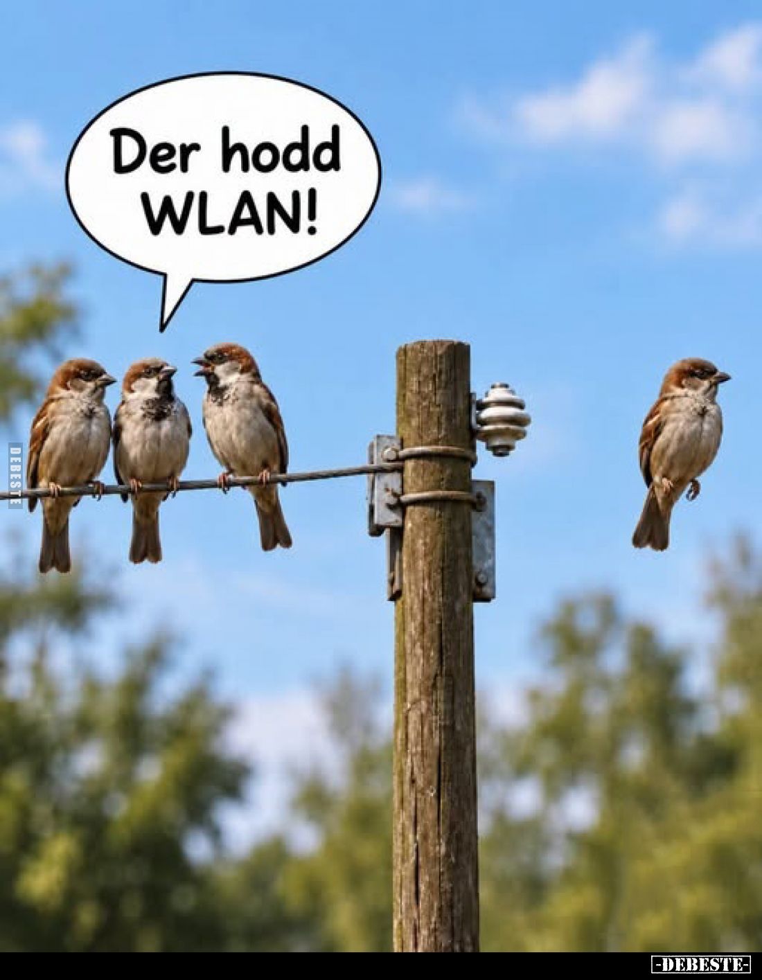 Der hodd WLAN!.. - Lustige Bilder | DEBESTE.de