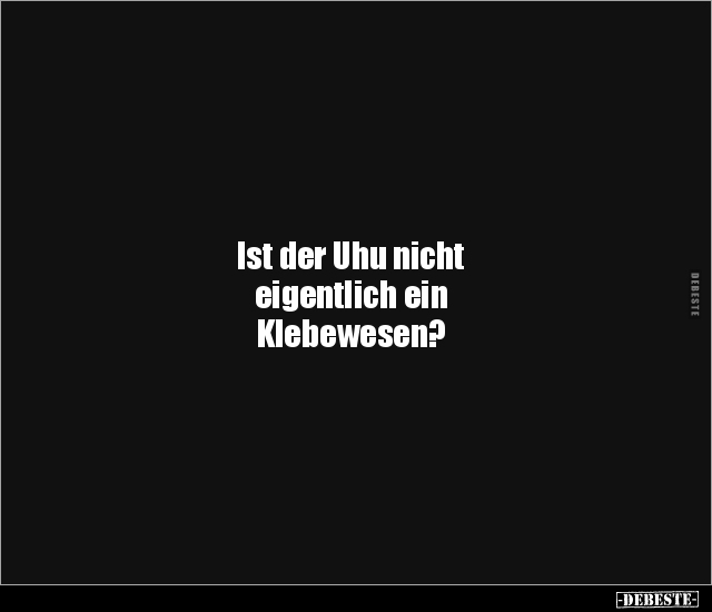 Ist der Uhu nicht eigentlich ein Klebewesen?.. - Lustige Bilder | DEBESTE.de