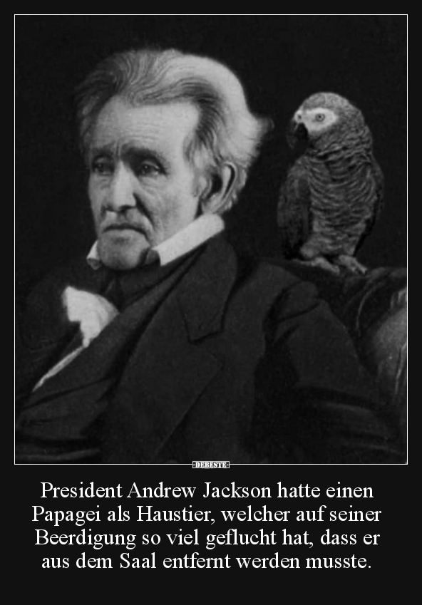 President Andrew Jackson hatte einen Papagei als Haustier.. - Lustige Bilder | DEBESTE.de
