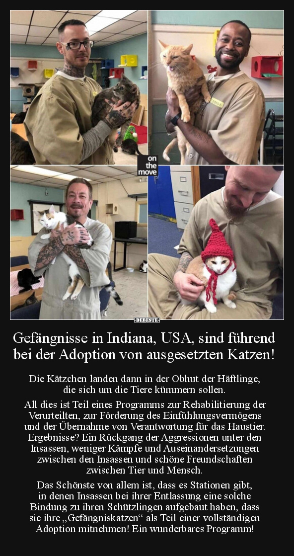 Gefängnisse in Indiana, USA, sind führend bei der Adoption.. - Lustige Bilder | DEBESTE.de