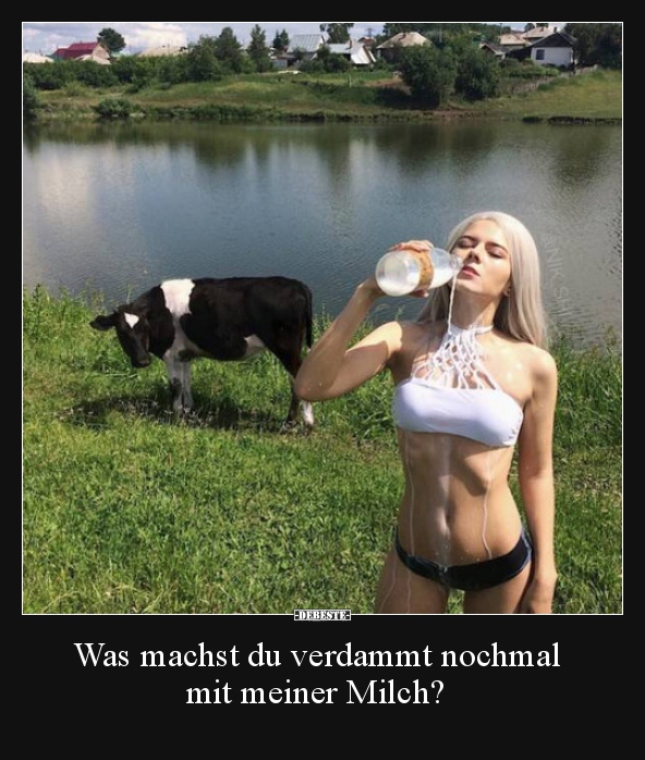 Was machst du verdammt nochmal mit meiner Milch?..
