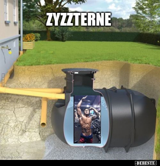 Zyzzterne.