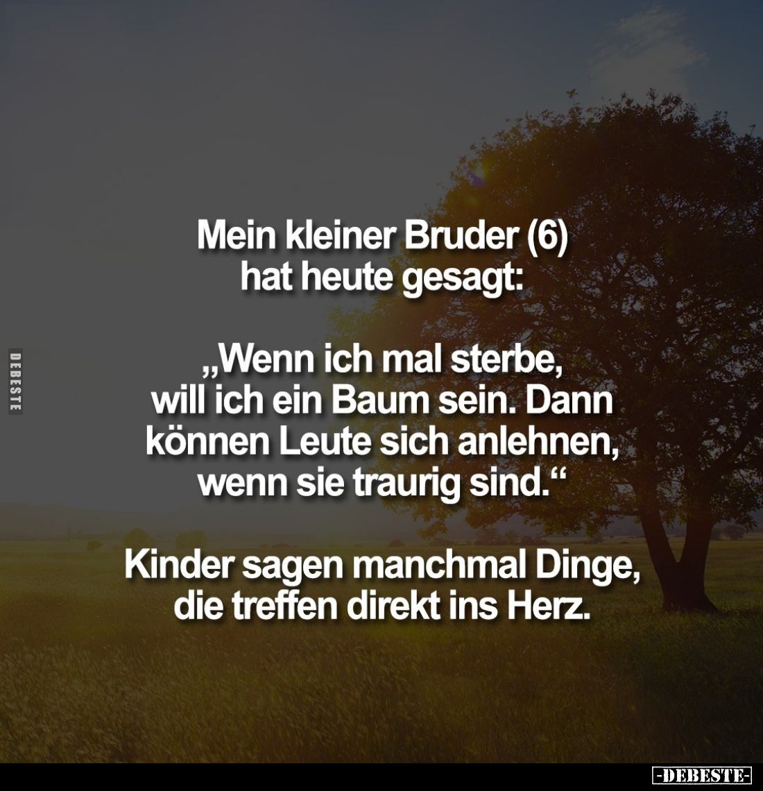 Mein kleiner Bruder (6) hat heute gesagt: 
„Wenn ich mal sterbe, will ich ein Baum sein. Dann können Leute sich anlehnen, we...