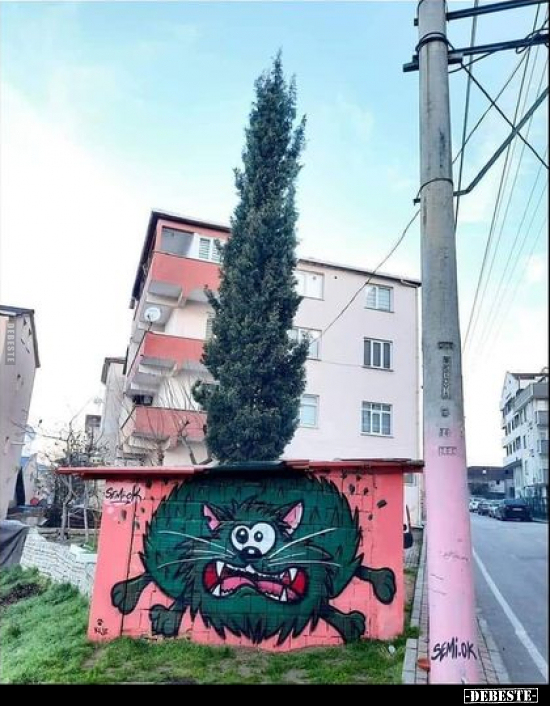  - Lustige Bilder | DEBESTE.de