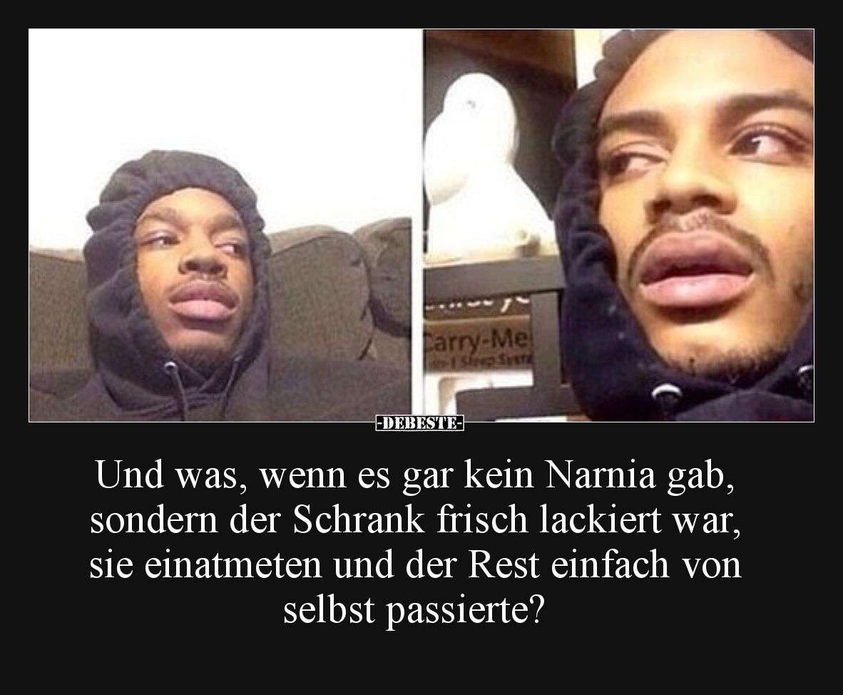 Und was, wenn es gar kein Narnia gab, sondern der Schrank frisch lackiert war, sie einatmeten und der Rest einfach von selbst...