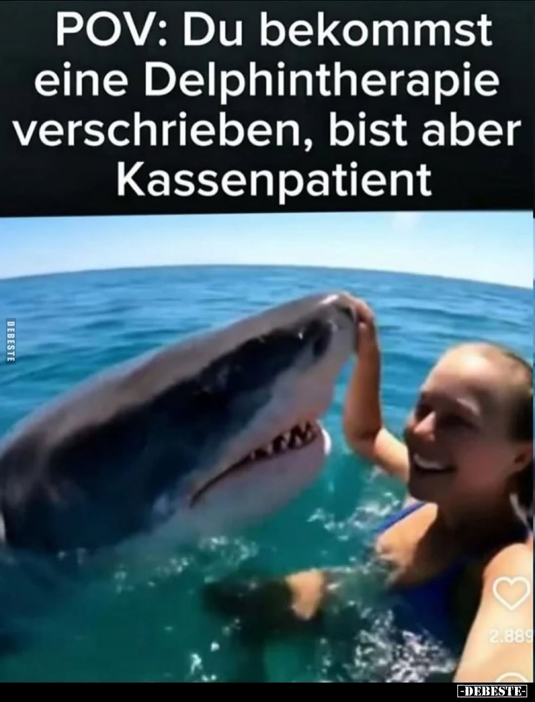 POV: Du bekommst eine Delphintherapie verschrieben, bist aber Kassenpatient