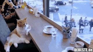 Wenn ich zusehe, was auf dieser Welt los ist...