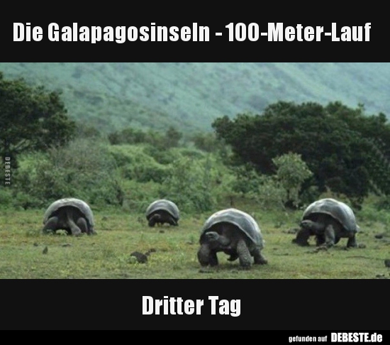 Die Galapagosinseln - 100-Meter-Lauf...