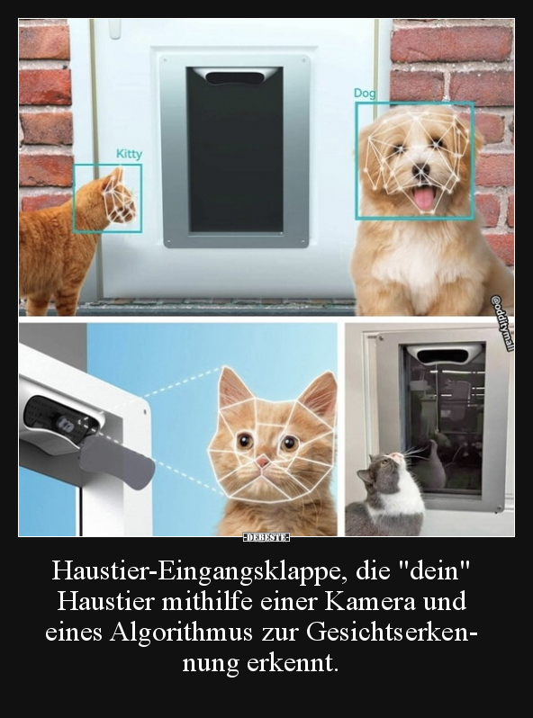 Haustier-Eingangsklappe, die "dein" Haustier mithilfe.. - Lustige Bilder | DEBESTE.de
