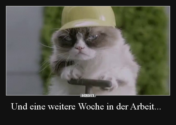 Und eine weitere Woche in der Arbeit...
