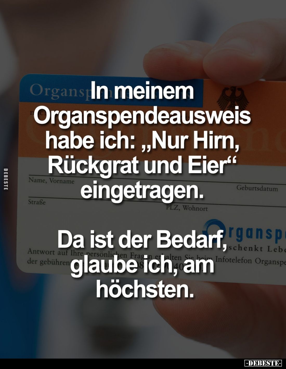 In meinem Organspendeausweis habe ich: "Nur Hirn, Rückgrat und Eier" eingetragen. Da ist der Bedarf, glaube ich, am...