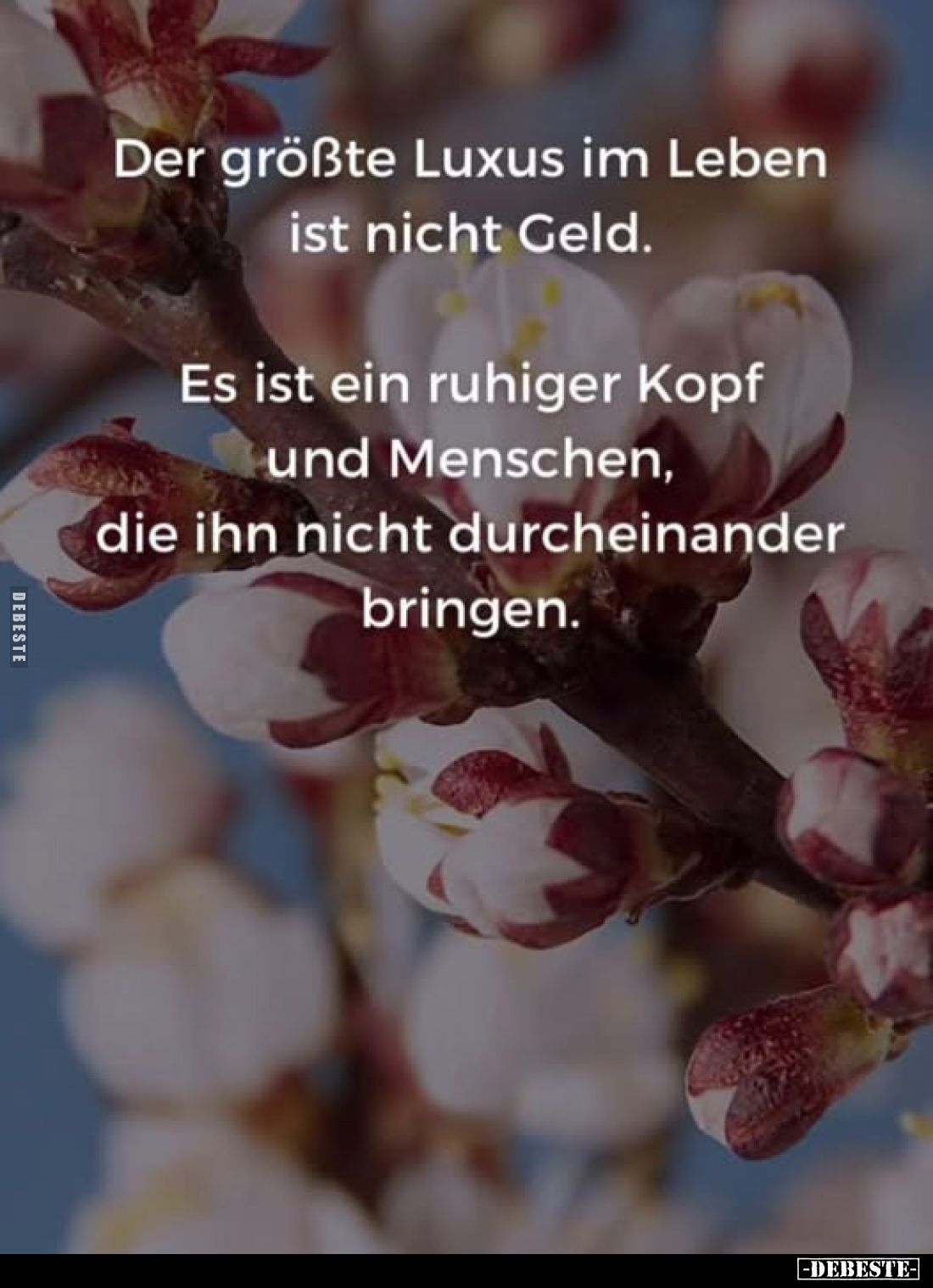 Der größte Luxus im Leben ist nicht Geld.
Es ist ein ruhiger Kopf und Menschen, die ihn nicht durcheinander bringen.