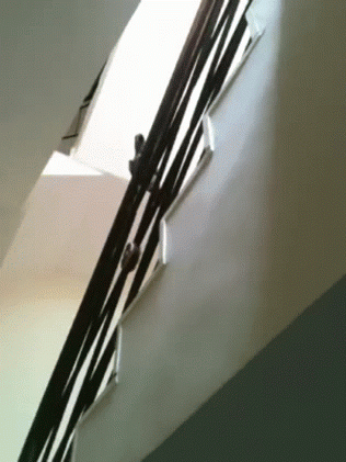 Ein echter Border line... - Lustige Bilder | DEBESTE.de