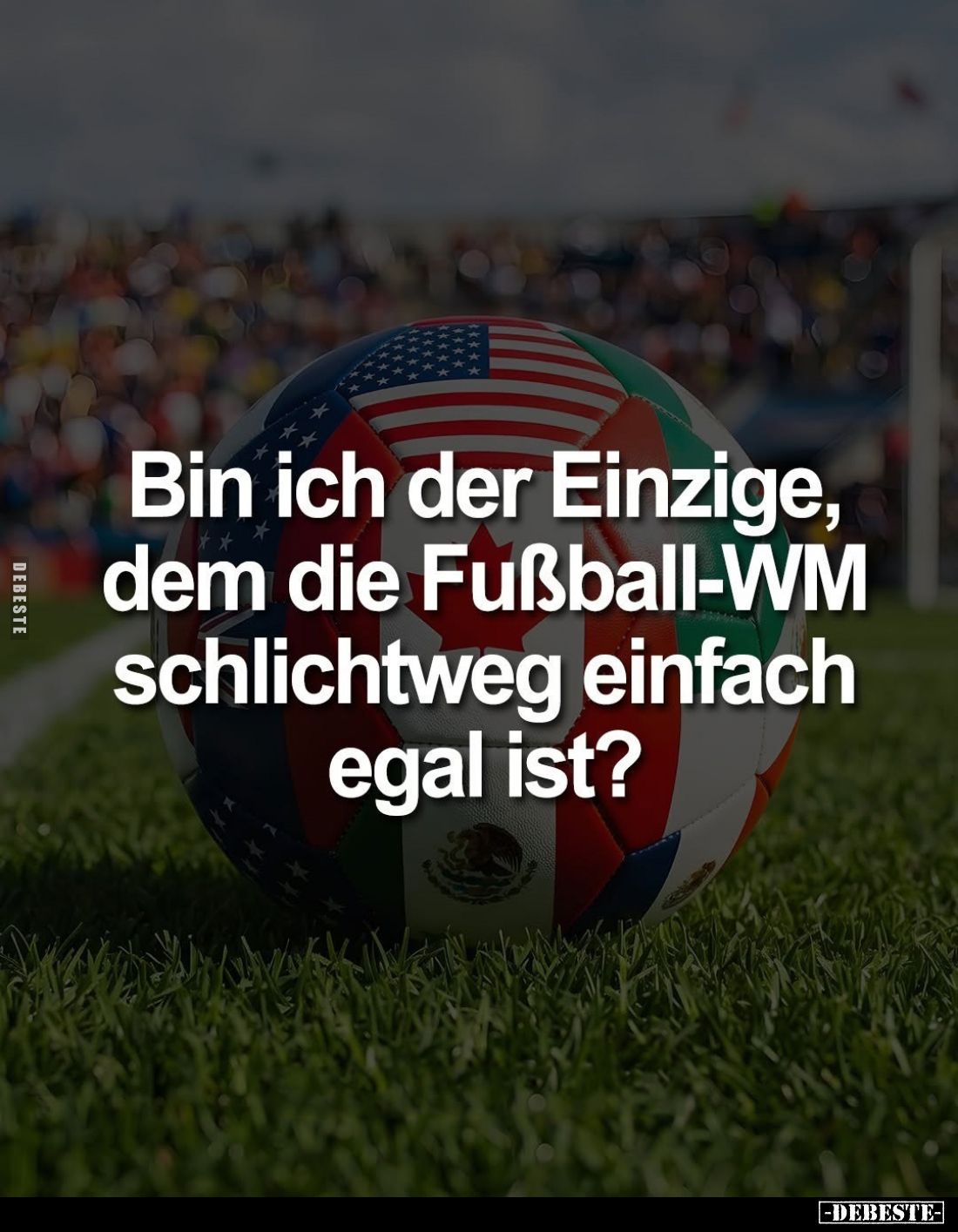 Bin ich der Einzige, dem die Fußball-WM schlichtweg einfach.. - Lustige Bilder | DEBESTE.de