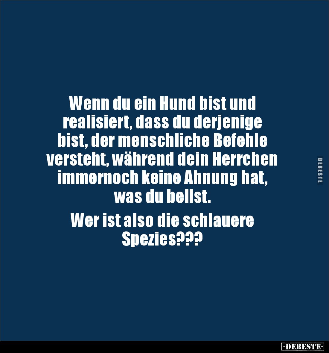 Wenn du ein Hund bist und 
realisiert, dass du derjenige 
bist, der menschliche Befehle 
versteht, während dein Herrchen ...