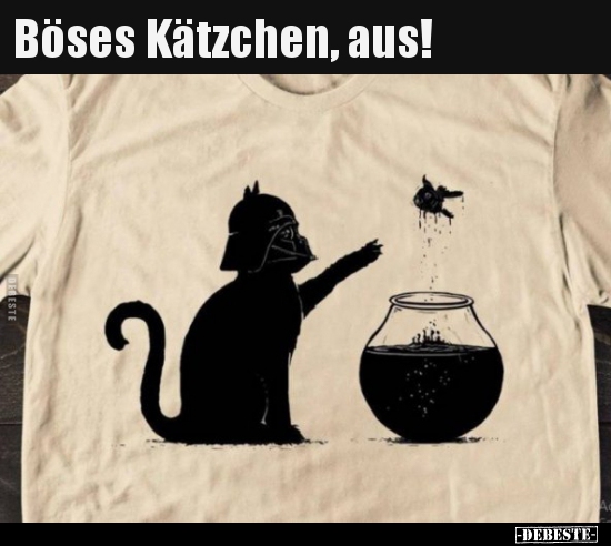 Böses Kätzchen, aus!.. - Lustige Bilder | DEBESTE.de