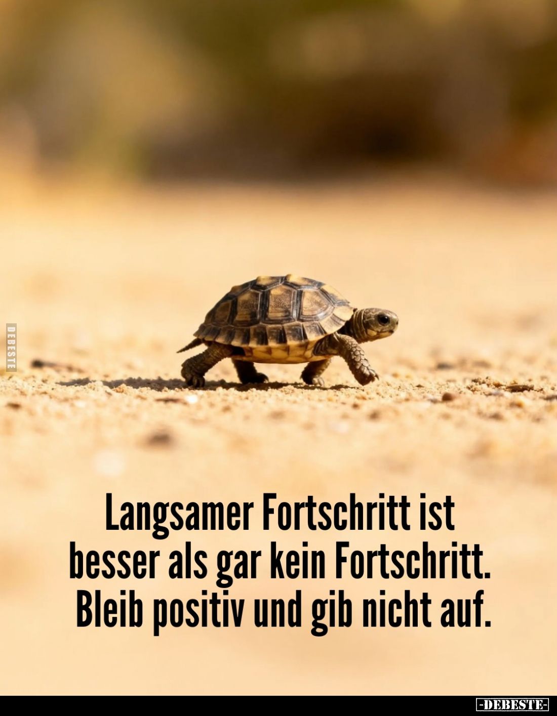 Langsamer Fortschritt ist besser als gar kein Fortschritt. Bleib positiv und gib nicht auf.