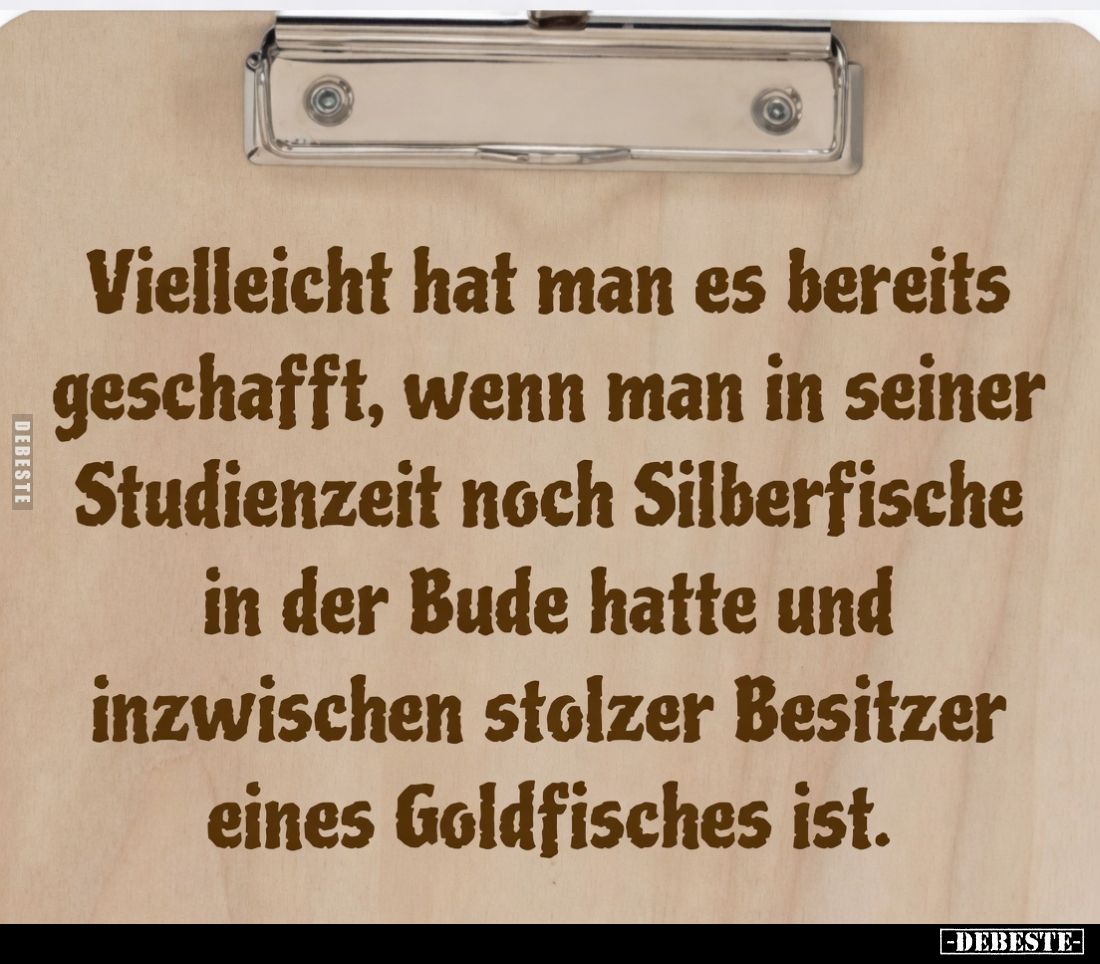 Vielleicht hat man es bereits geschafft, wenn man in seiner Studienzeit noch Silberfische in der Bude hatte und inzwischen st...